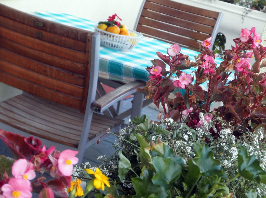 Apartmani Delfin Grebaštica Екстериор снимка